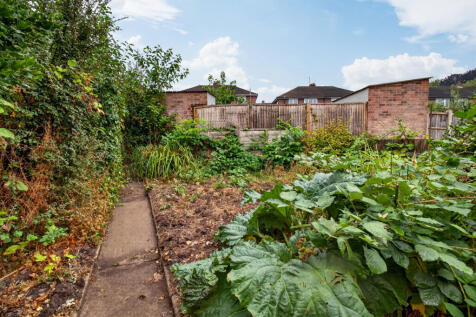 Garden (3)