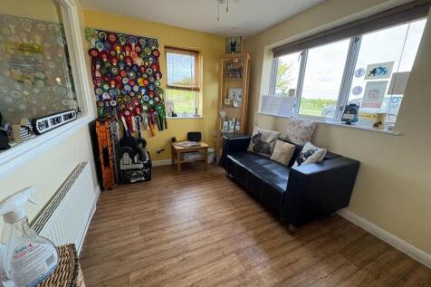 processed-2E61C749-65F8-415D-AB90-4BA26C0BE828.jpe