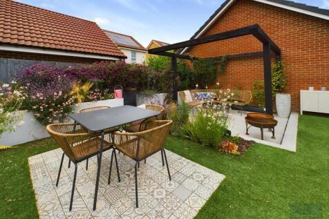 CAM02558G0-PR0203-ST