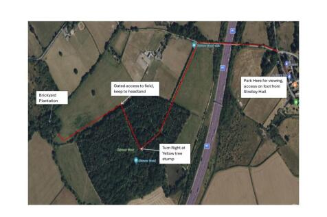 Brickyard Plantation Access Route_page-0001.jpg