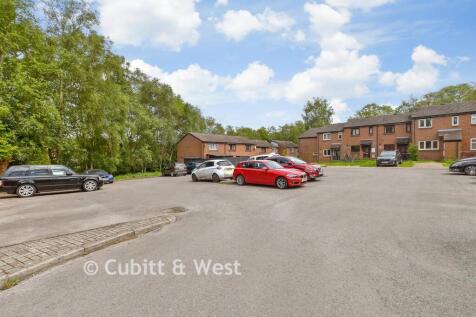 Driveway/Parking