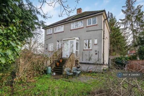 Back Garden