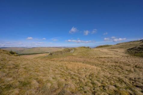 DarrachHill-45.jpg