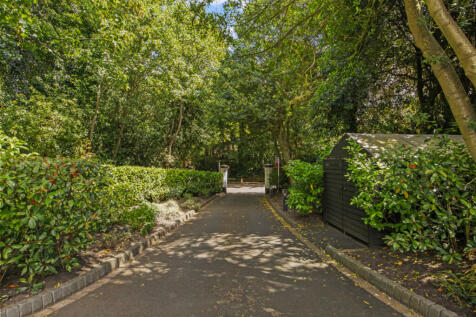 Property Image 49
