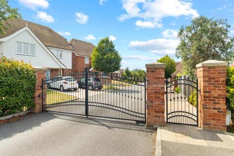 IMG_8842.JPG