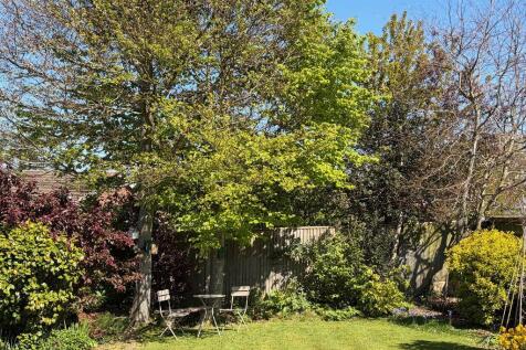 Garden 5