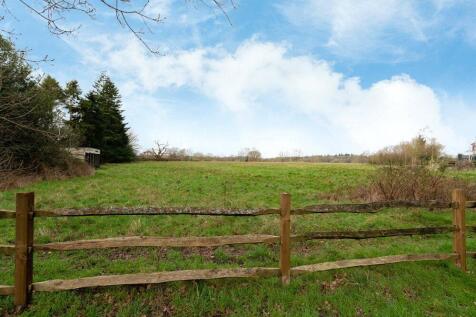 Meadow