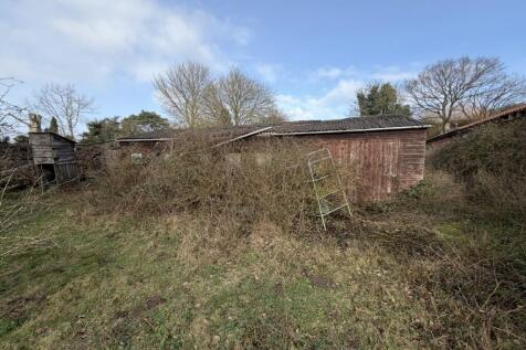 2  Medium  T202602201044.jpg