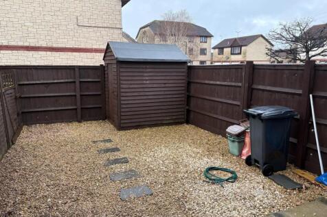 pennycress 26 garden