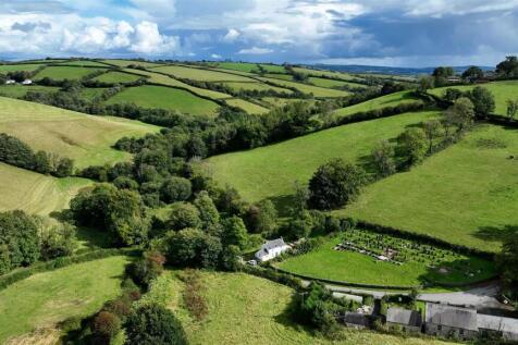 Sequence 01.00_03_05_07.Still008.jpg