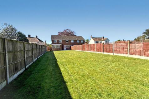 Back Garden