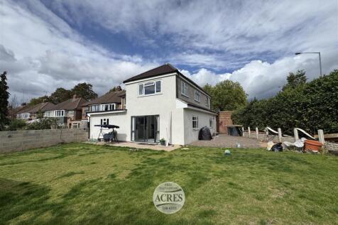 IMG_1594 (Large).jpg