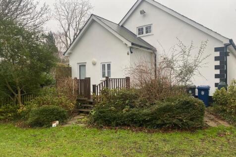 WhatsApp Image 20...