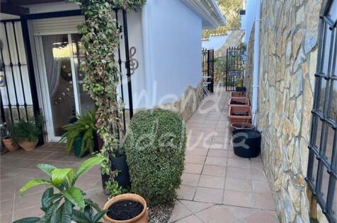 Image 15