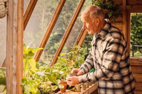 a man in a greenhouse