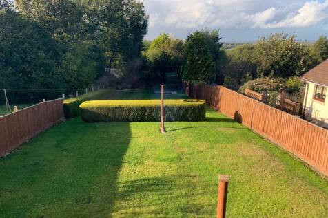 whole garden.jpg
