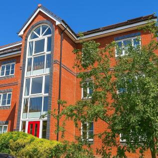 IMG-20250729-WA00...