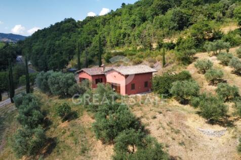 Panorama e Particolari