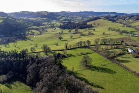 DJI_0293.jpg