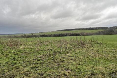 Photo 09-12-2024, 14 33 22.jpg