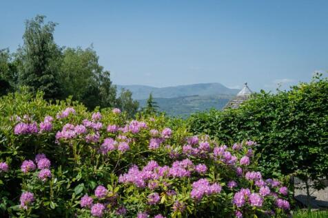 Garden/View