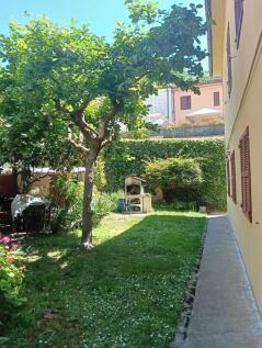 WhatsApp Image 2025-