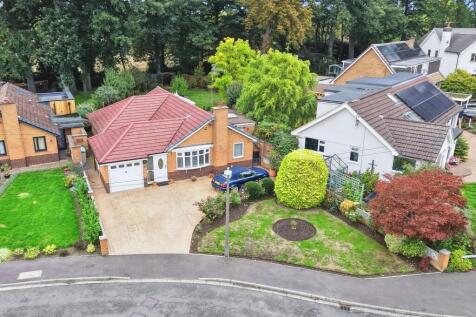 The Property