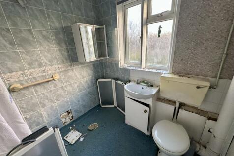 IMG 4423 T202511291257.jpeg