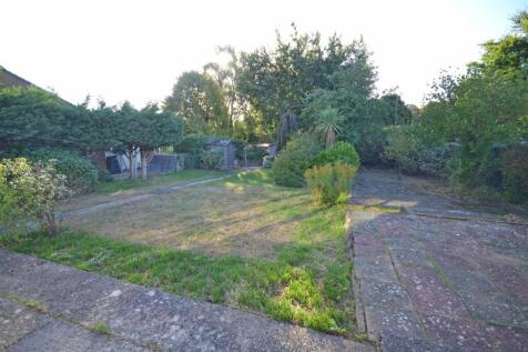 Garden ii.jpg