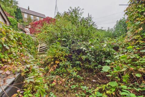 North facing Garden