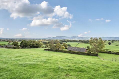 Land behind property.jpg