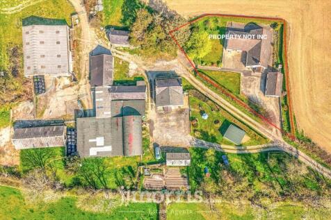 Image 25-04-2025 at 11.42.jpeg