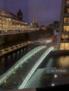 The View Of The Night