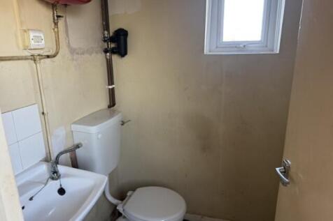 5  Small  T202510301312.jpg