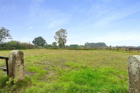 Field