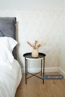 Mesh Accommodation Stylish Décor