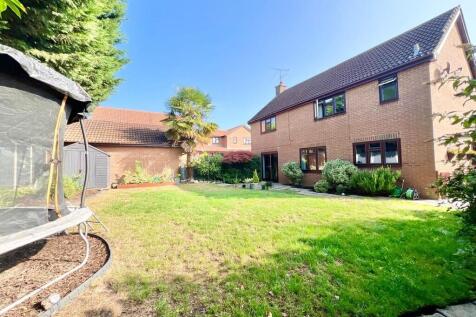 WhatsApp Image 20...