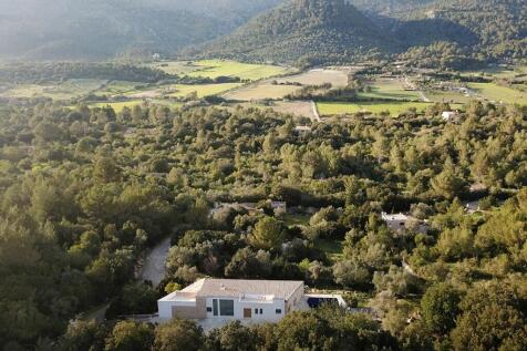 aerial (3)