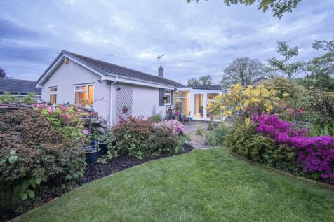 Stunning Rear Garden