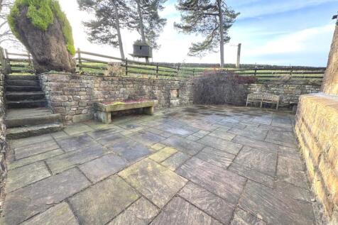 fern17.jpg