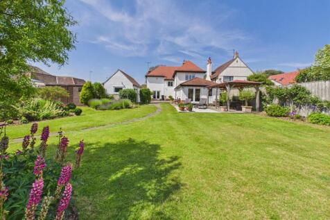 Garden: