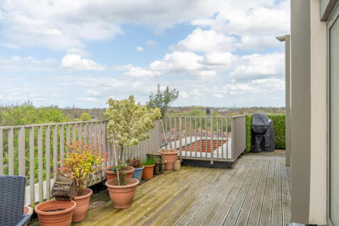 Terrace / Patio