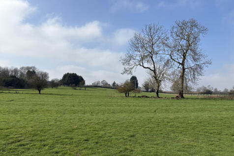 25.71 Acres of Grazing Land