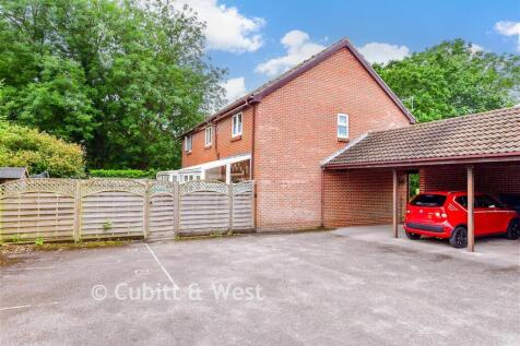 External Lifestyle Photograph
