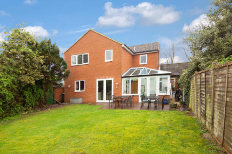 Rear Elevation