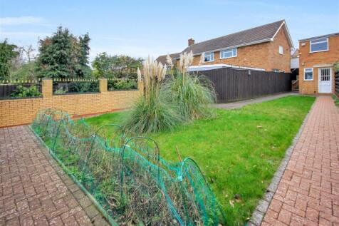 garden.JPG_enhanced (1).jpg