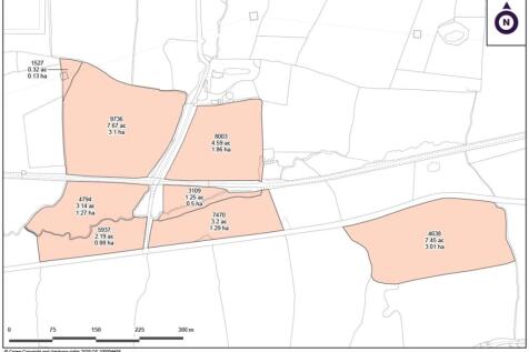 Dayles Site Plan