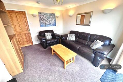 Contact Us For Video