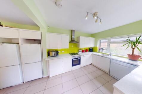 snapedit_1717154013161