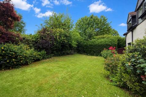 rear garden.jpg